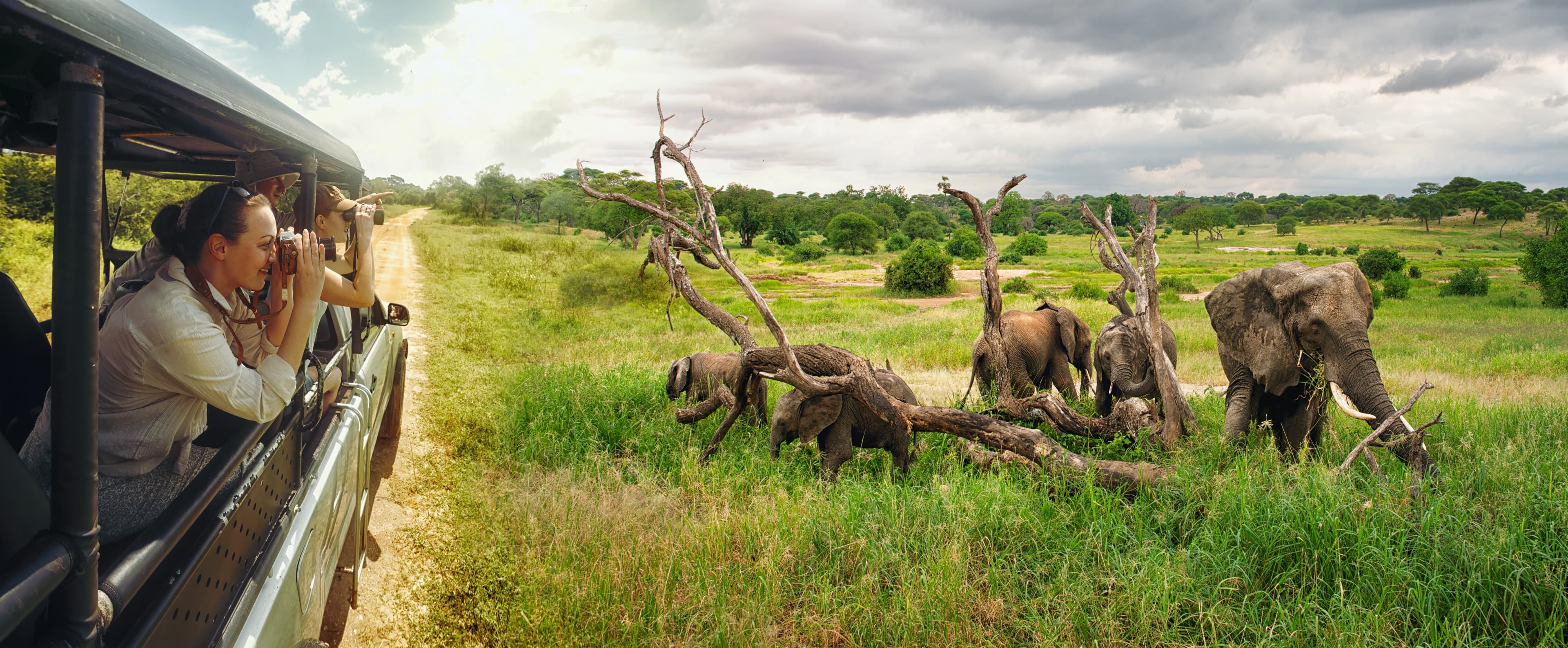 Private Driver Costs in Sri Lanka | Rates & Pricing